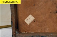 臺灣鯪鯉藏品圖，第12張